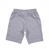 Kъси панталони "Crew" в сив меланж 2