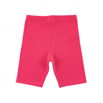 Късо клинче в корал